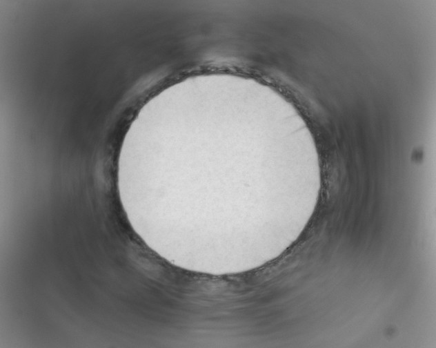 X0000116391207201001131823