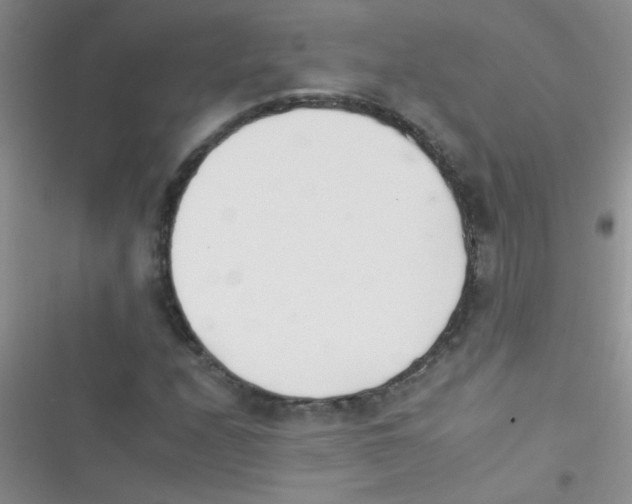 X0000116391208201001131823