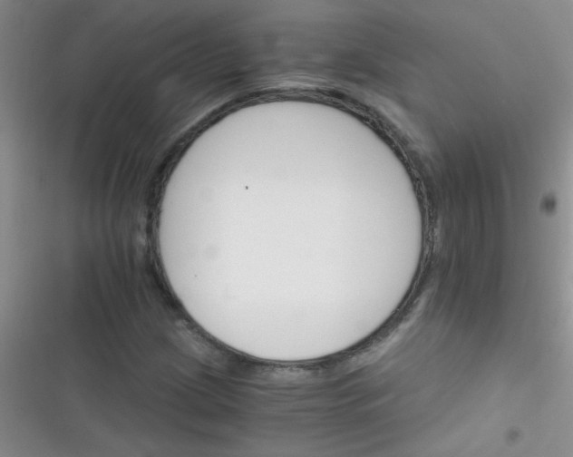 X0000116391209201001131823