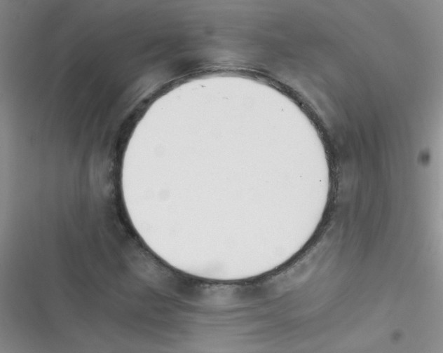 X0000116391211201001131823