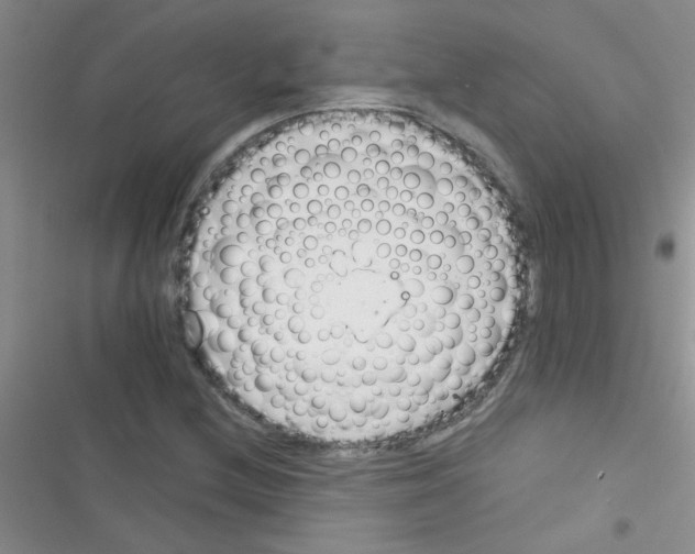 X0000116391212201001131823