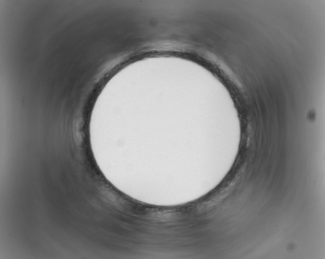 X0000116391213201001131823