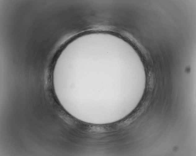 X0000116391215201001131823