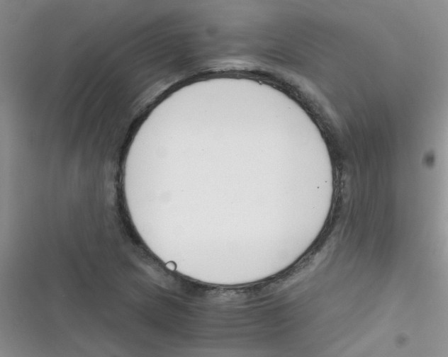 X0000116391217201001131823