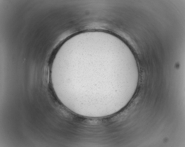X0000116391219201001131823