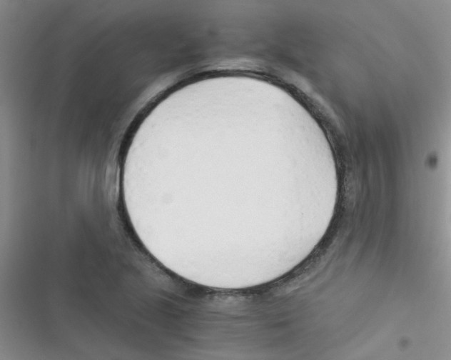 X0000116391221201001131823