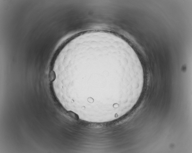 X0000116391222201001131823