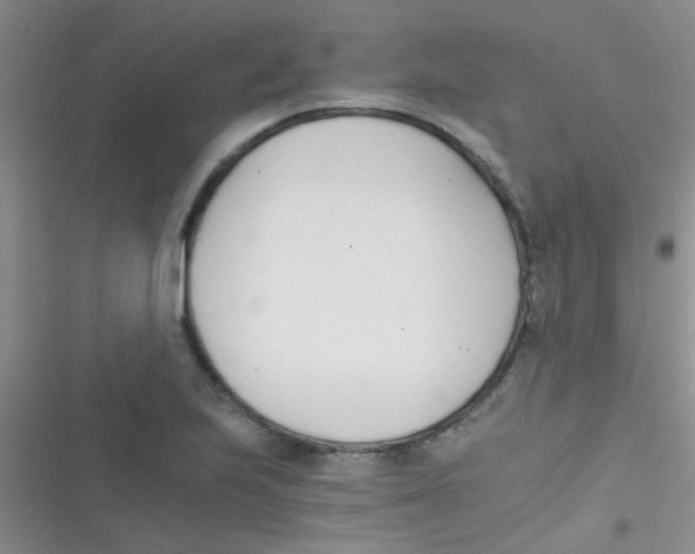 X0000116391223201001131823