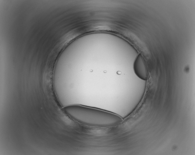 X0000116391225201001131823