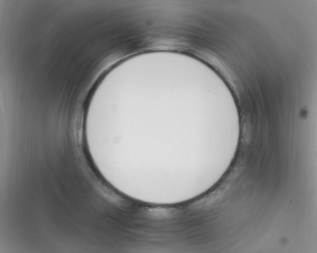 X0000116391227201001131823