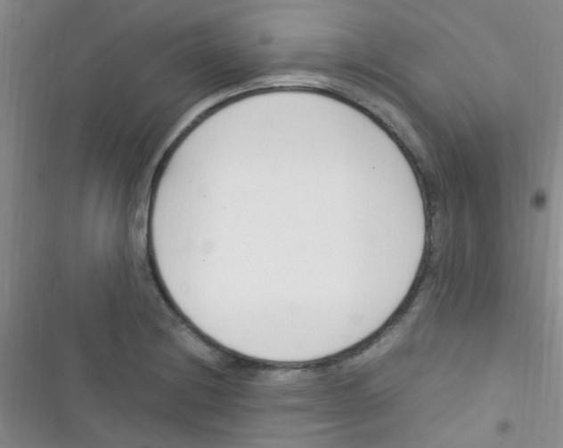 X0000116391228201001131823