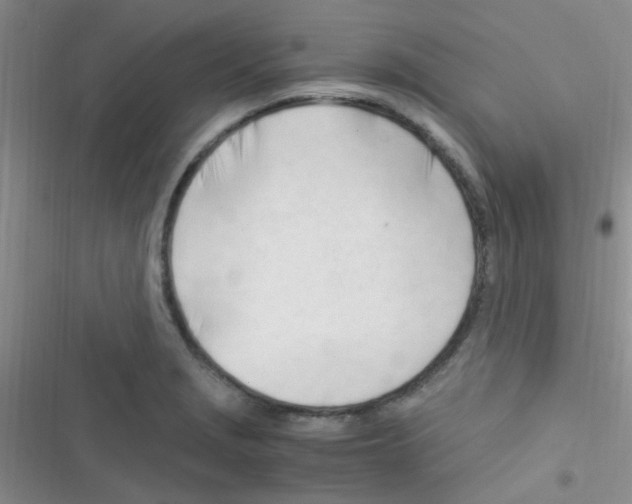 X0000116391229201001131823
