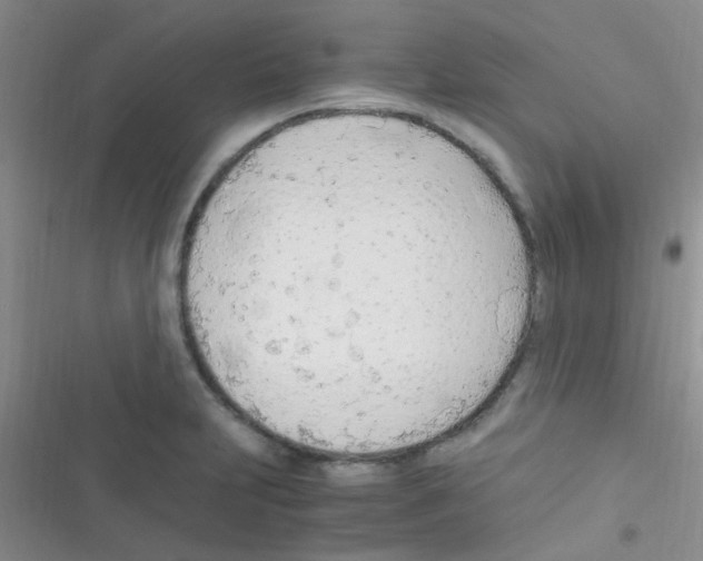 X0000116391231201001131823