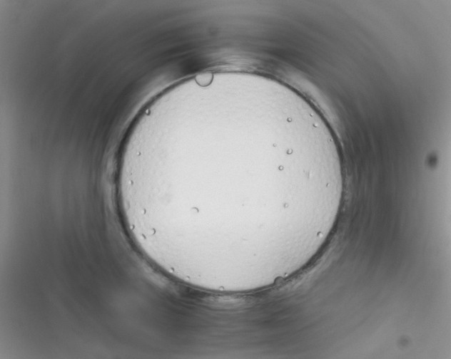 X0000116391235201001131823