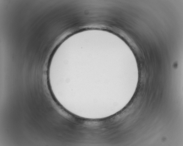 X0000116391237201001131823