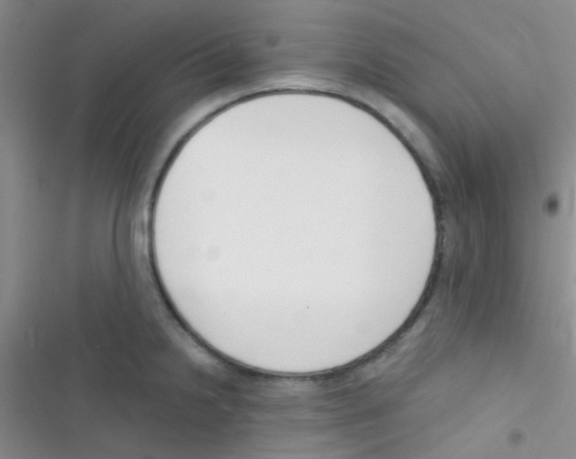 X0000116391238201001131823