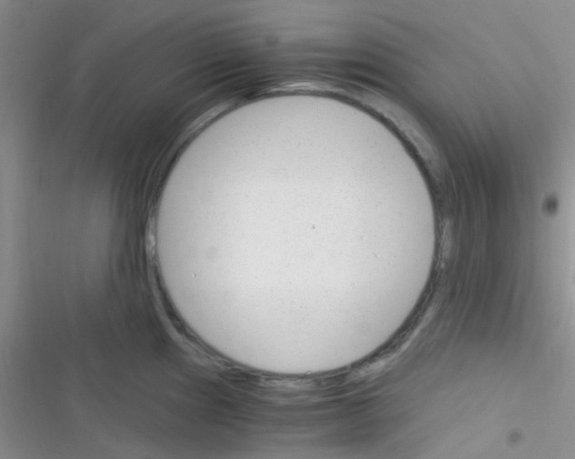 X0000116391241201001131823