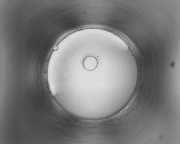 X0000116391244201001131823