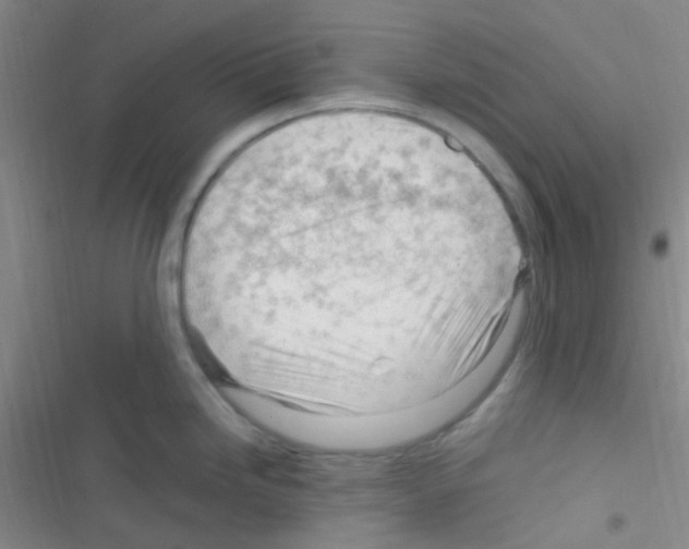 X0000116391246201001131823
