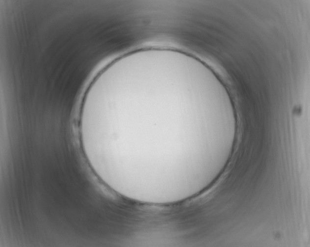 X0000116391248201001131823