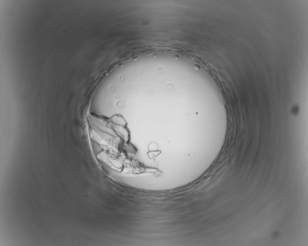 X0000116391249201001131822