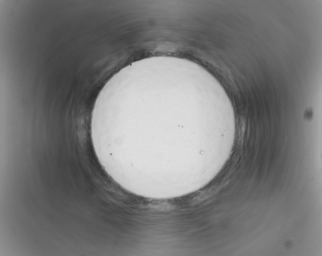X0000116391250201001131822