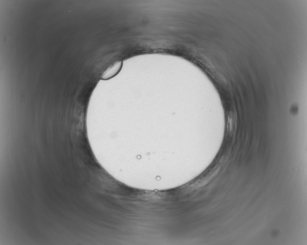 X0000116391251201001131822