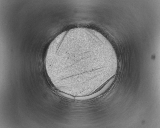X0000116391252201001131822