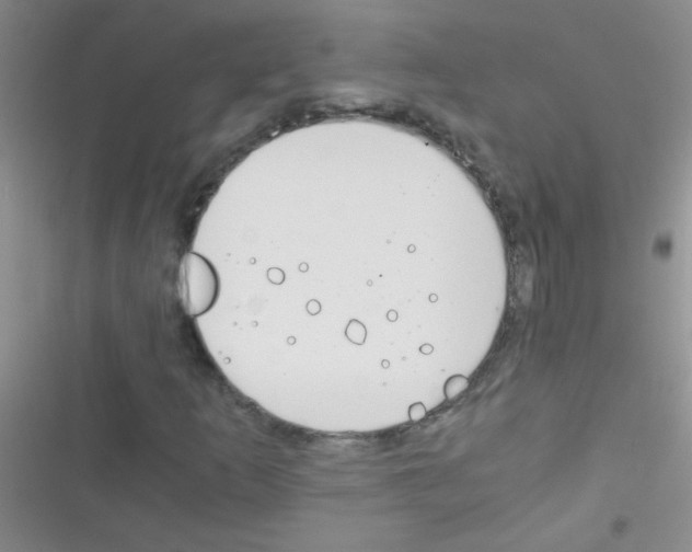 X0000116391253201001131822