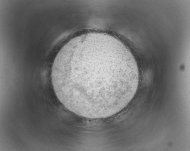 X0000116391254201001131822