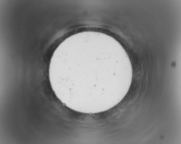 X0000116391255201001131822