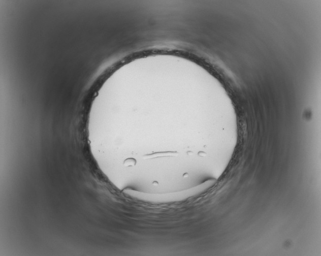 X0000116391256201001131822