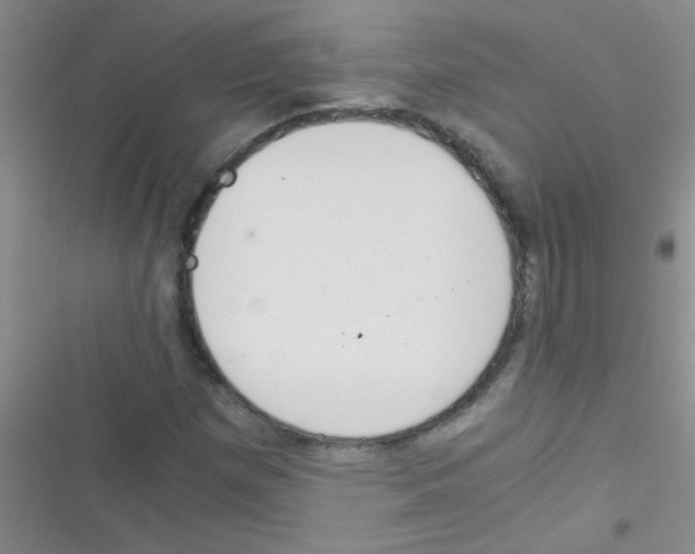 X0000116391257201001131822