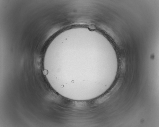 X0000116391258201001131822