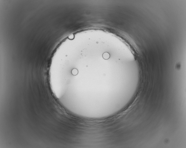 X0000116391260201001131822