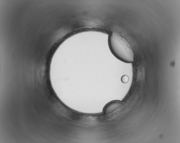 X0000116391261201001131822