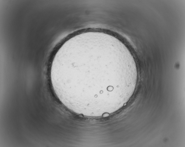 X0000116391263201001131822