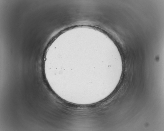 X0000116391264201001131822
