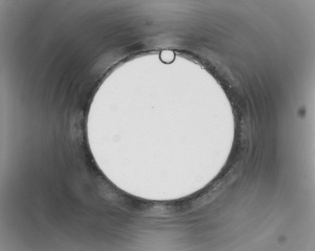 X0000116391265201001131822