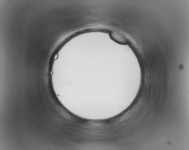 X0000116391270201001131822