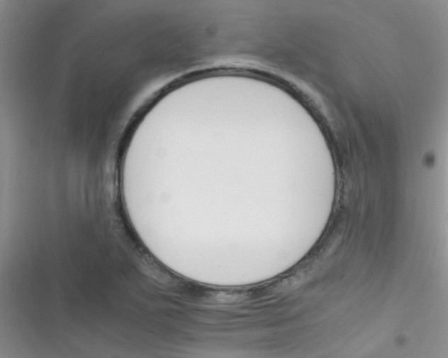 X0000116391271201001131822