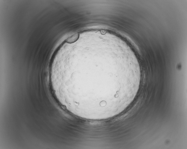 X0000116391274201001131822