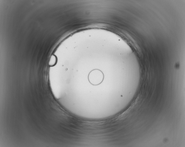 X0000116391276201001131822