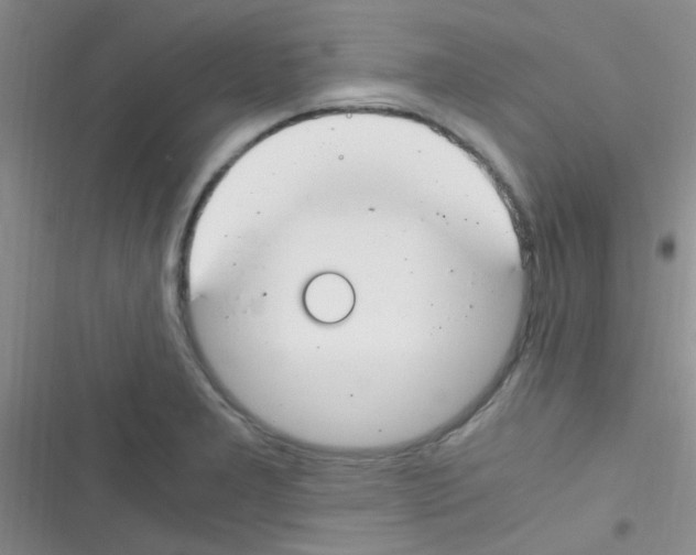 X0000116391277201001131822