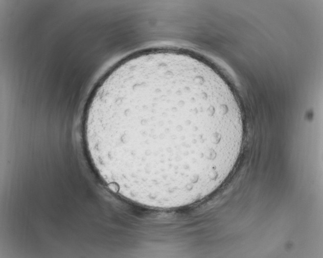 X0000116391279201001131822