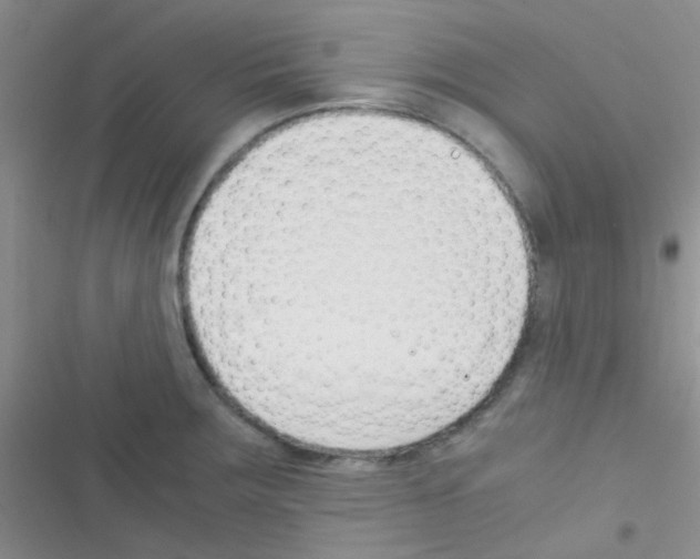 X0000116391283201001131822