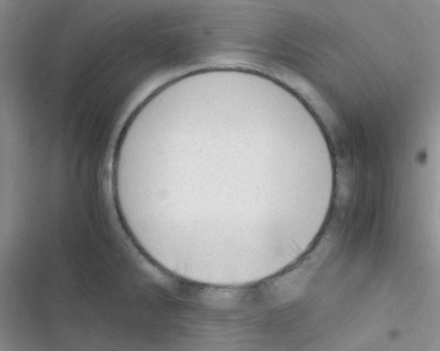 X0000116391286201001131822