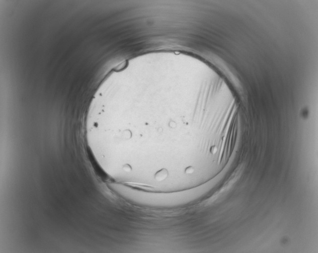 X0000116391289201001131822