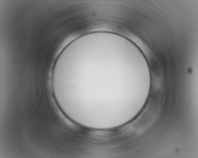 X0000116391290201001131822