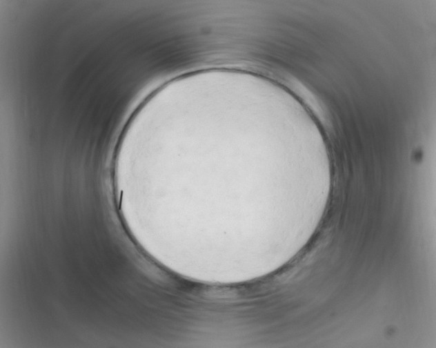 X0000116391291201001131822